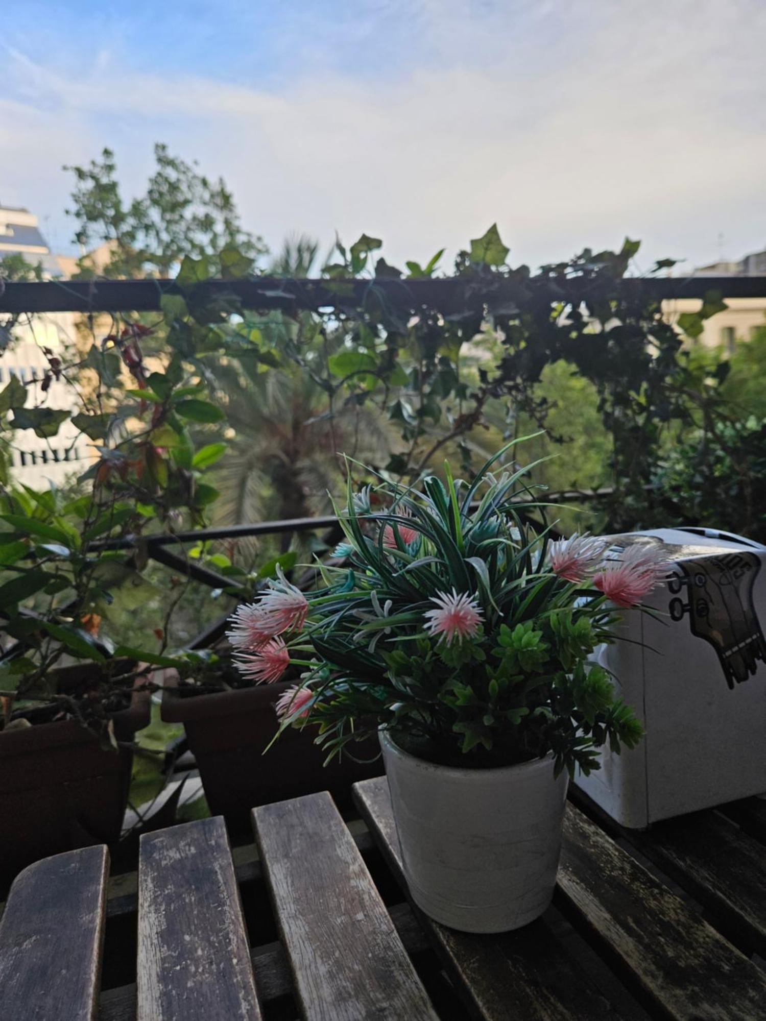 Wow Hostel Barselona Dış mekan fotoğraf